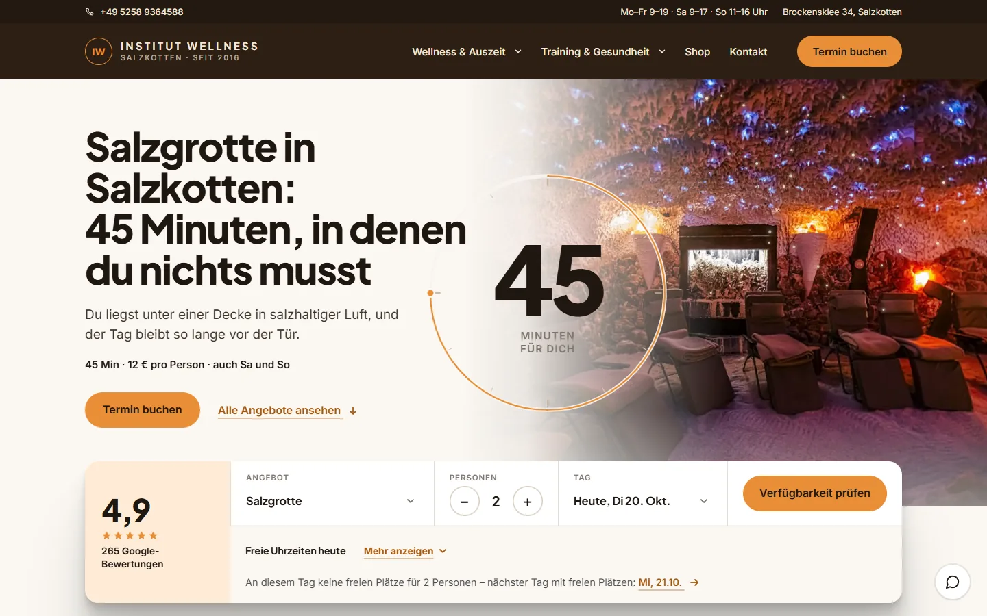 institut-wellness.de am Laptop